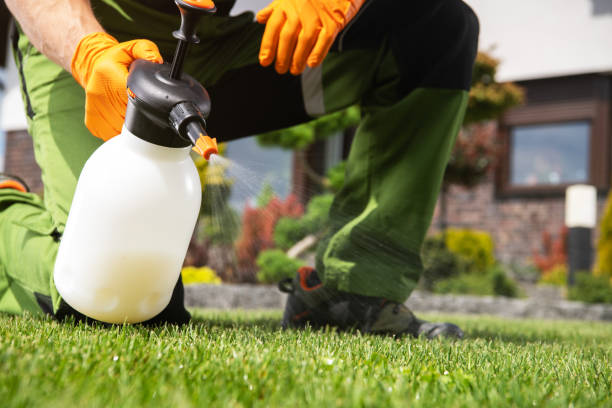 Best Flea Control Services  in Redkey, IN