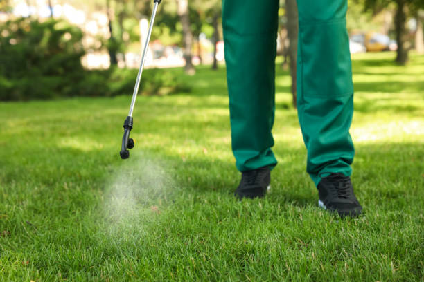 Flea Control Services in Redkey, IN