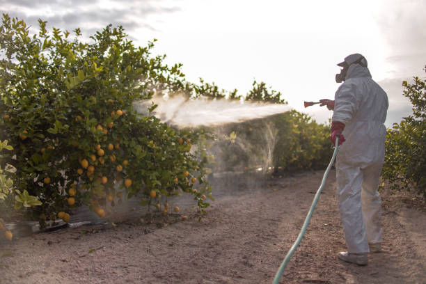 Best Local Pest Control Services  in Redkey, IN