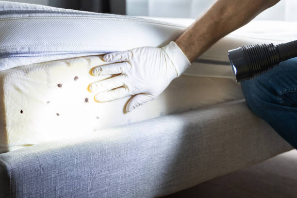 Best Emergency Pest Control  in Redkey, IN