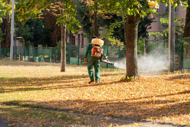 Flea Control Services in Redkey, IN