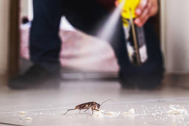 Best Local Pest Control Services  in Redkey, IN