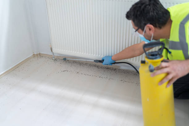 Best Termite Control Services  in Redkey, IN