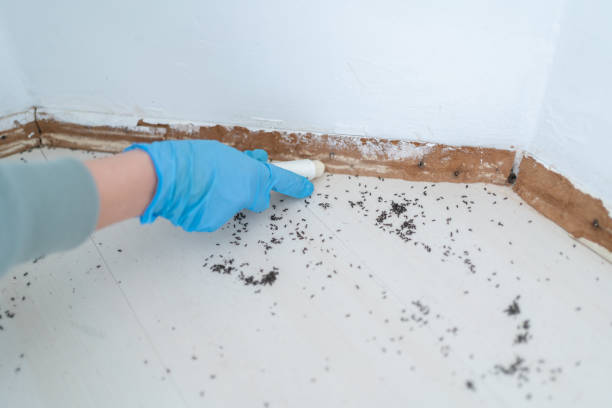 Best Cockroach Control Services  in Redkey, IN