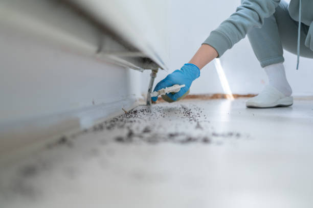 Pest Control for Restaurants in Redkey, IN