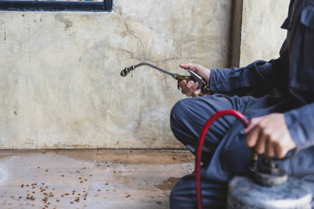 Best Exterminator Services  in Redkey, IN