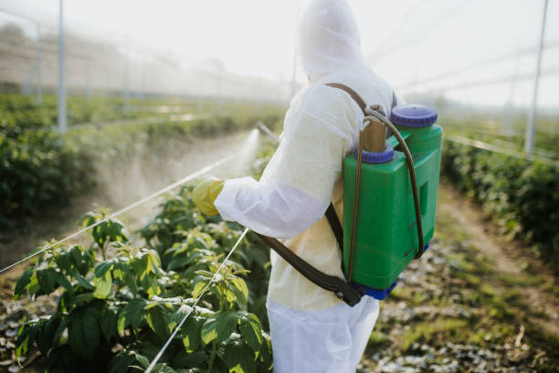 Best Emergency Pest Control  in Redkey, IN